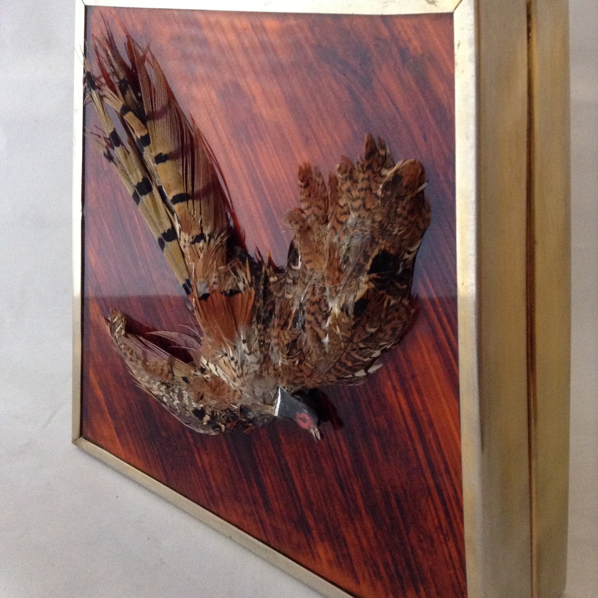 Vintage trapezoid cherry-wood colored lucite handbag with brass frame, vintage topaz colored brooch clasp and real pheasant feathers.